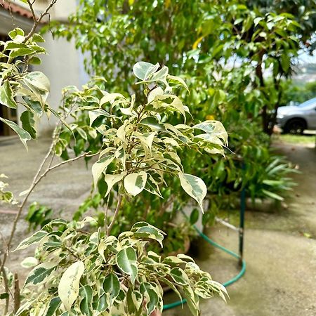 巴科利Casa Palumbo别墅 外观 照片