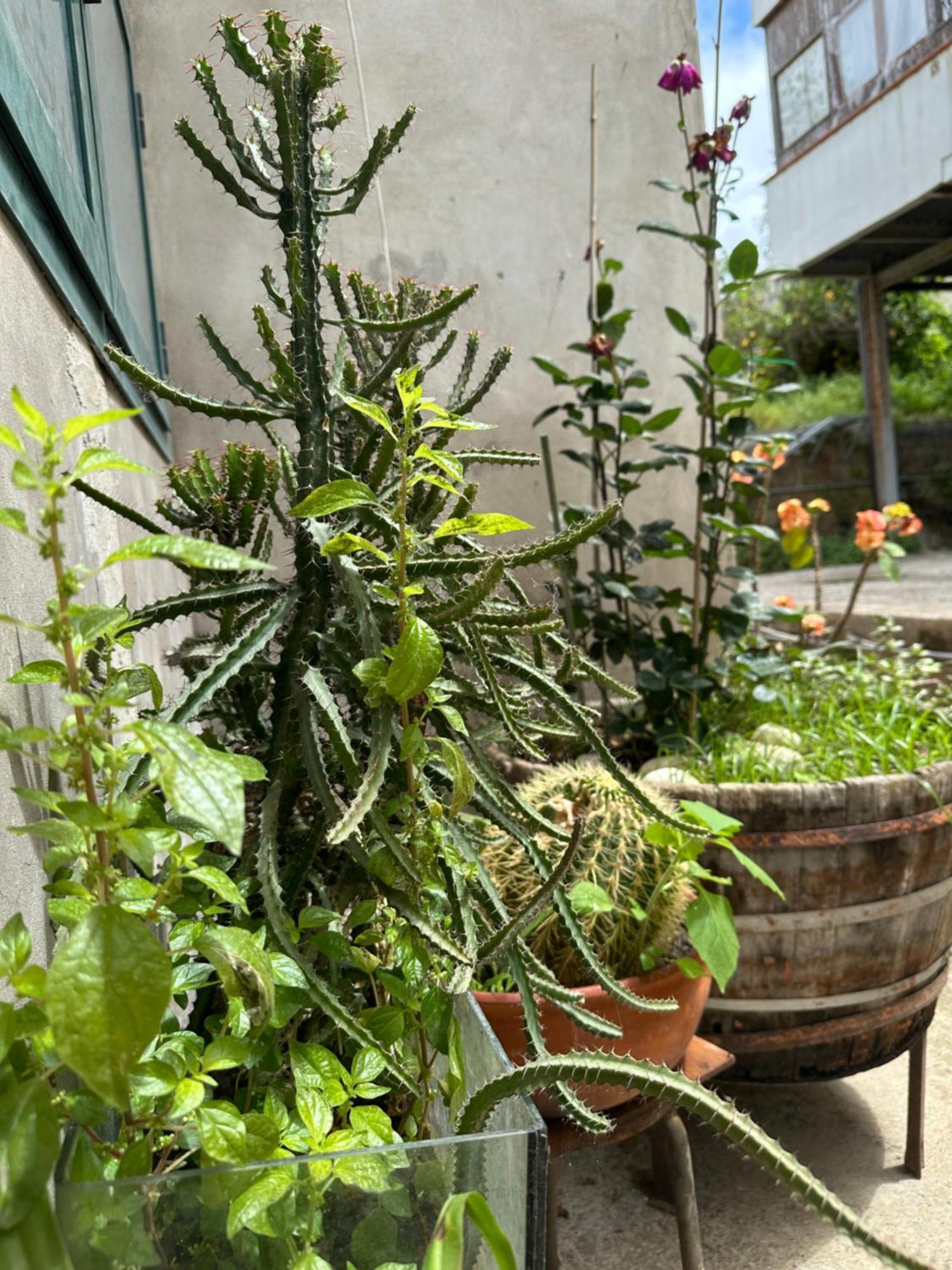 巴科利Casa Palumbo别墅 外观 照片